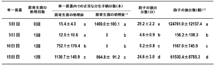 表1 菌寄生菌を処理したメロンうどんこ病菌（KMP-6N）の単一菌叢内で形成された正常な分生子柄数と単一菌叢から生涯放出された胞子数の測定　1）正常な分生子柄の数は、菌寄生菌を処理し、胞子放出が停止した後に測定された。　2）静電気胞子回収器で回収された全胞子数を示した。　異なるアルファベットは有意差を示した（p < 0.05、チューキー法）。