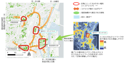 【図2】「エコロジカルネットワーク」の形成状況および「生物の移動しやすさ推計」