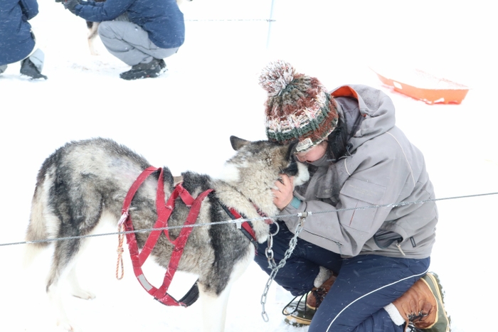 2019年12月のモニター開催時に犬たちと触れ合う参加者2