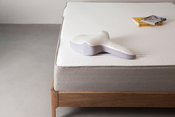 ゴッチョ背まくら 1