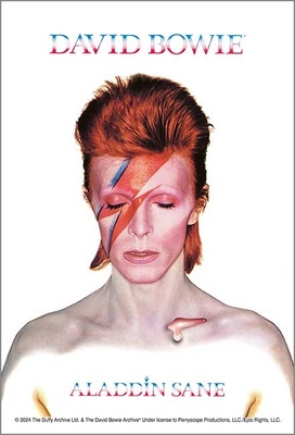 120-016：ALADDIN SANE（アラジン・セイン）
