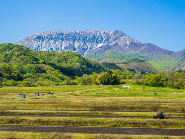 大山の美しい山並み