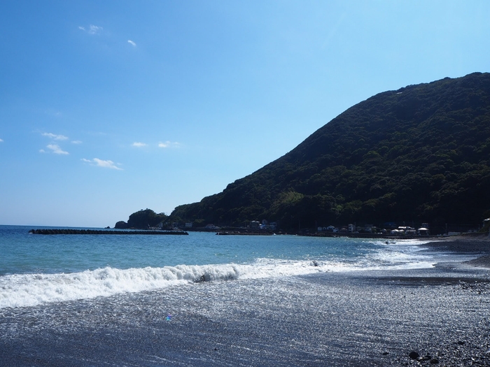 河津の海