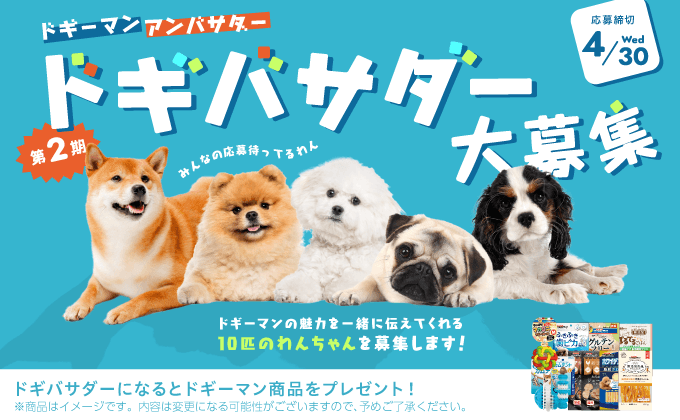 ドギバサダー大募集
