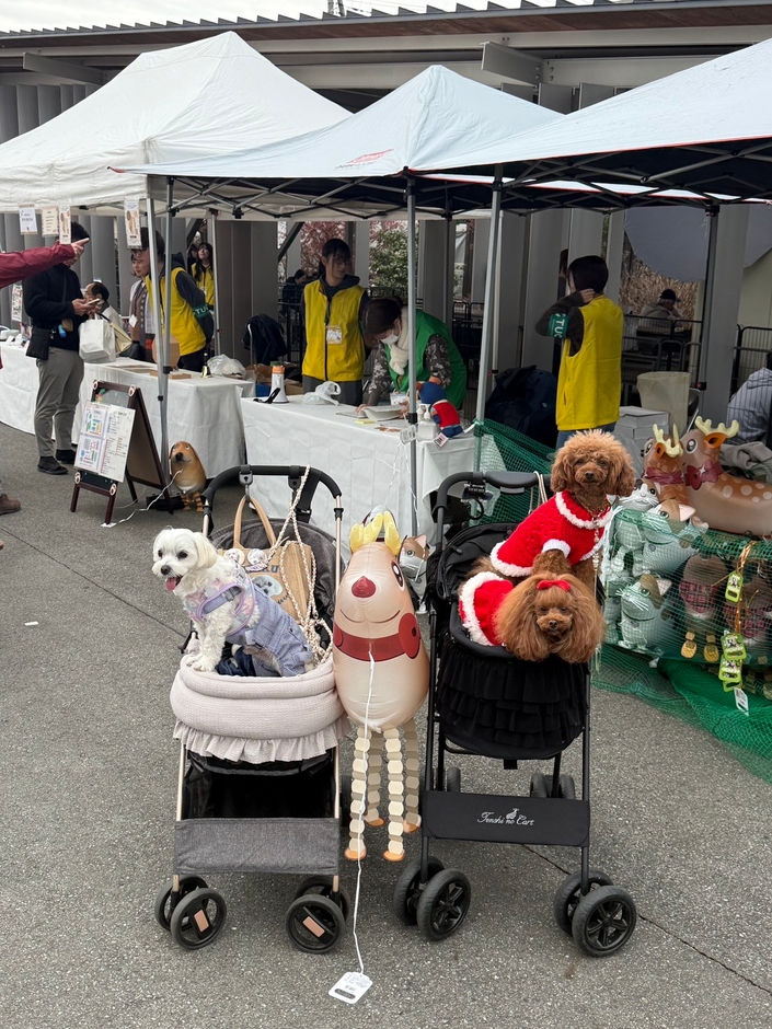 12月開催のわんこフェスタin富岡の様子