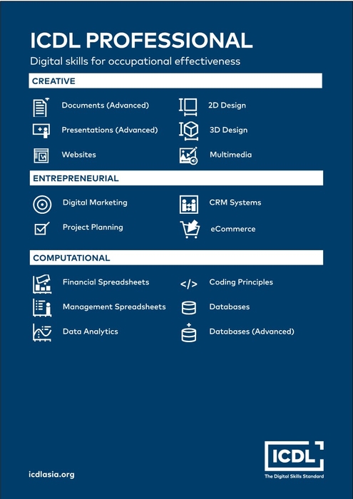 ICDL PROFESSIONAL