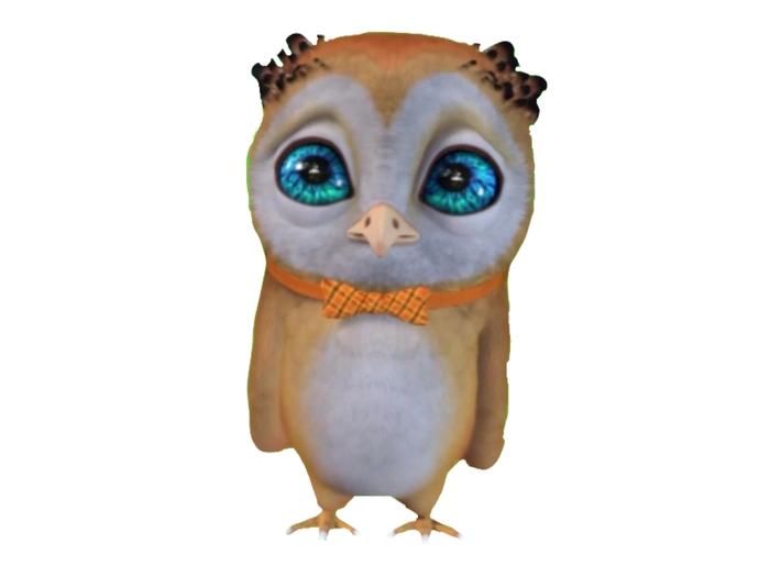 owl