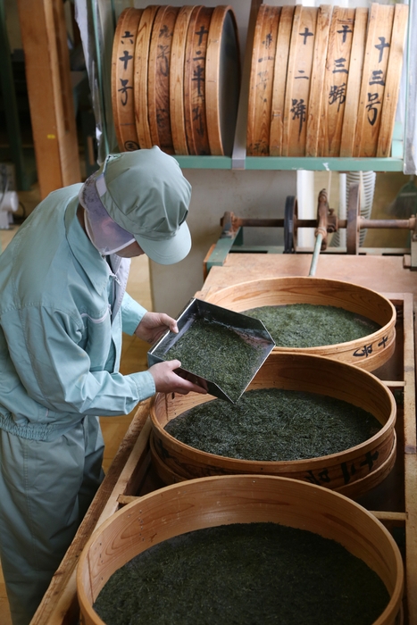 茶師マルモ森商店