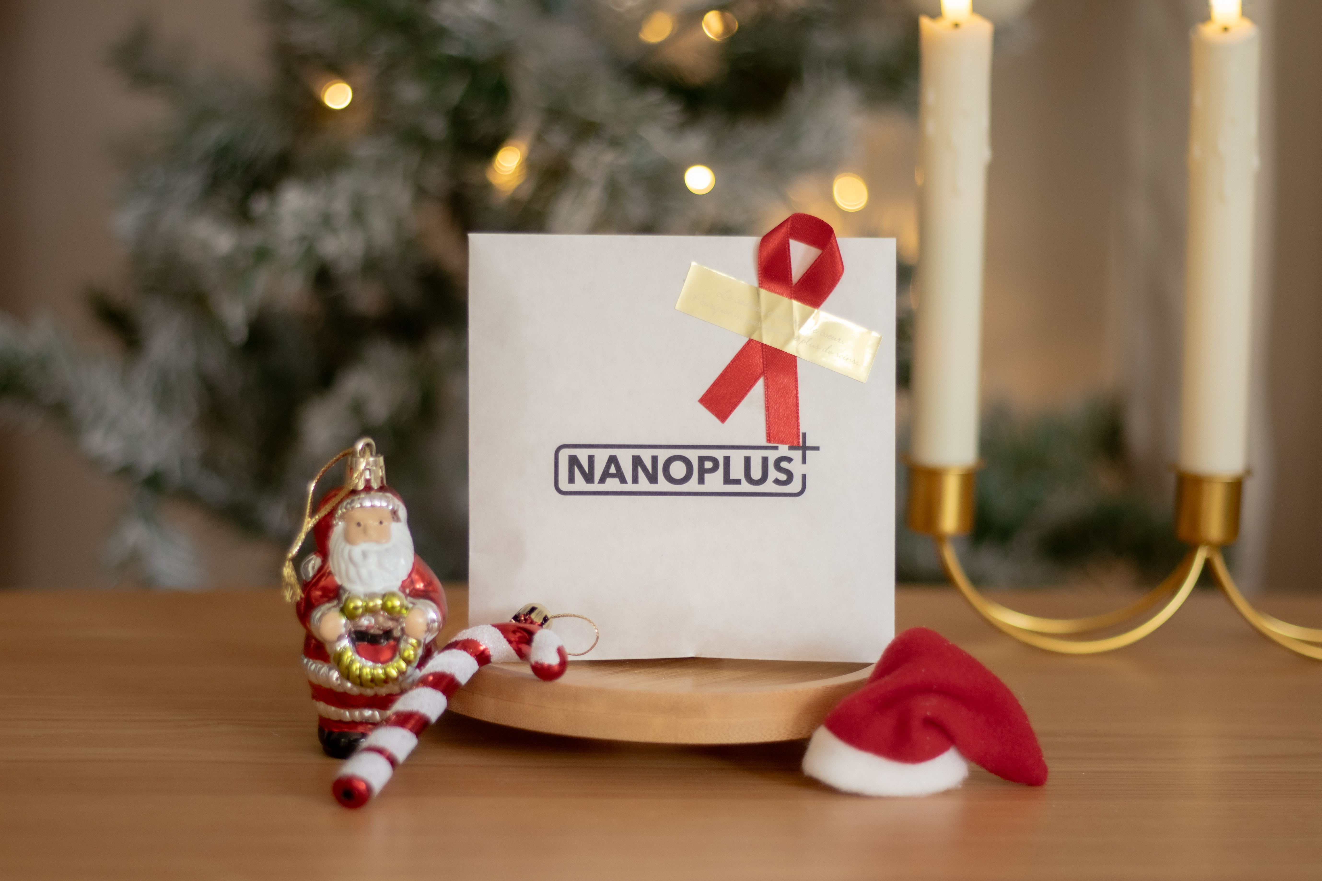 手のひらサイズのエコバッグ「NANOPLUS」クラシックモデルなどがもらえる！ 今冬限定の「クリスマスギフトラッピング無料キャンペーン」開催！