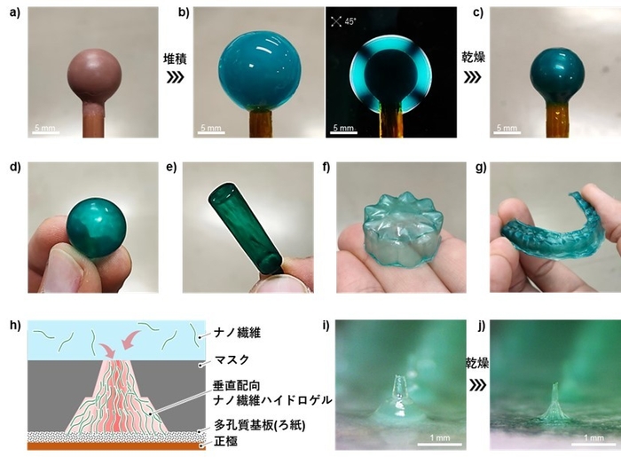 図5 a)例えば、球状の正極を用意し、b)その表面に水平配向でナノ繊維を固定してナノ繊維ハイドロゲルを形成。c)水平配向ナノ繊維ハイドロゲルは乾燥させても水平方向の収縮が抑えられるため割れにくく、d)乾燥後に陽極を取り外せば立体形状に沿った成型フィルムが得られる。異なる形状の正極を使用すれば、e)筒状、f)複雑形状、g)マウスピースのような形状も作製可能。h)マスクによるパターニングと垂直配向を組み合わせれば、i&#44;j)乾燥後にマイクロニードルのような針状の成型物を得ることも可能。