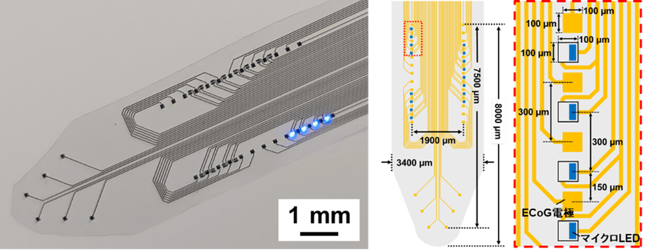 図１．16個のGaN系マイクロLEDと32チャンネルのECoG電極を搭載したフレキシブルシート