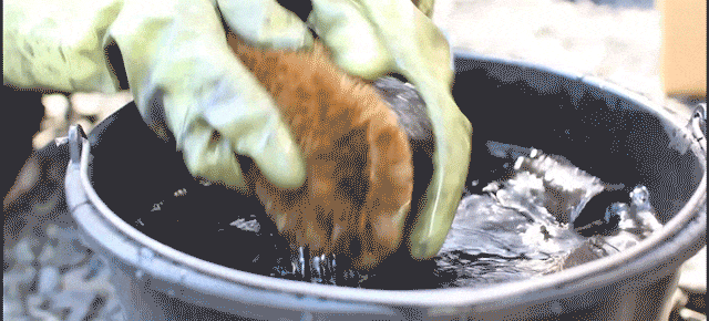 水洗いの様子:ひとつひとつ丁寧に仕上げます