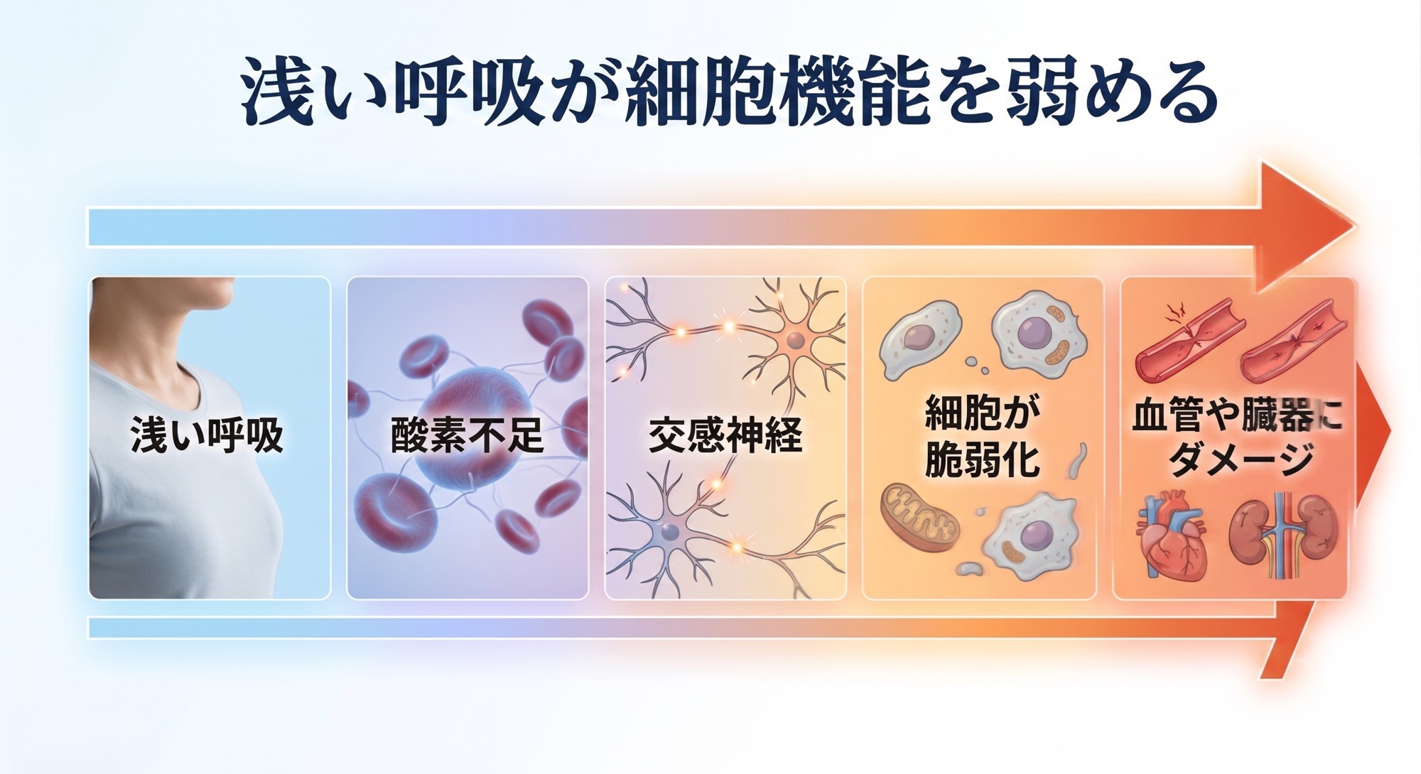 睡眠中に起きている健康リスク──医学がまだとらえきれていない“社会問題”である
