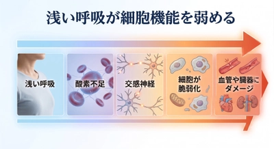 睡眠中に起きている健康リスク──医学がまだとらえきれていない“社会問題”である
