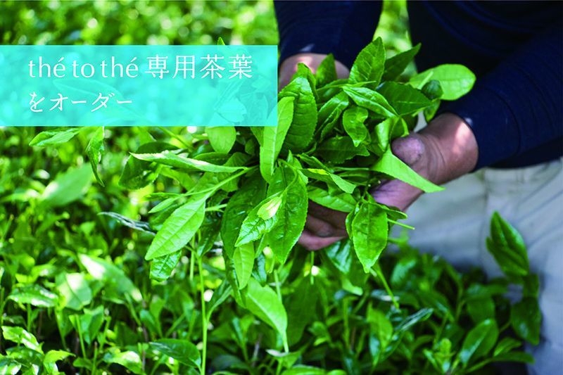 老舗茶園に専用茶葉をオーダーしています