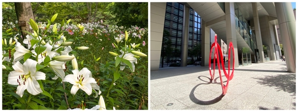 公園に咲く綺麗な花や面白い形のモニュメントも“発見”！