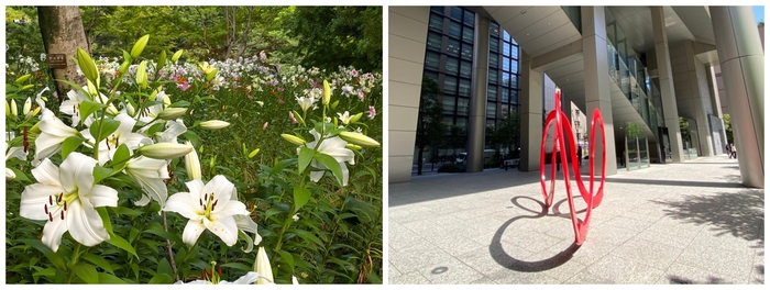 公園に咲く綺麗な花や面白い形のモニュメントも“発見”!