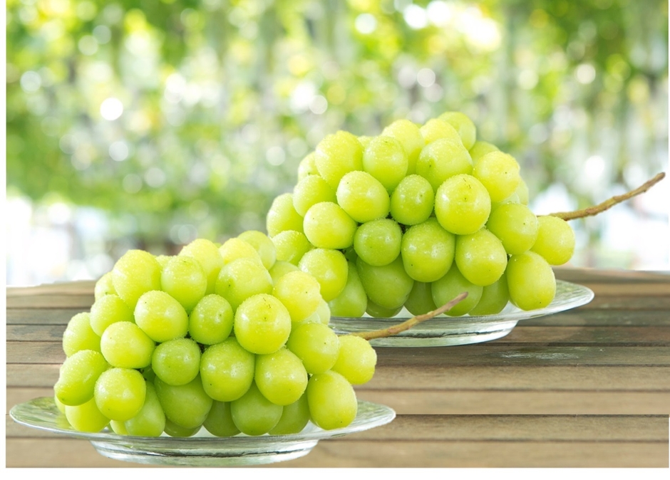 吉次園_シャインマスカット