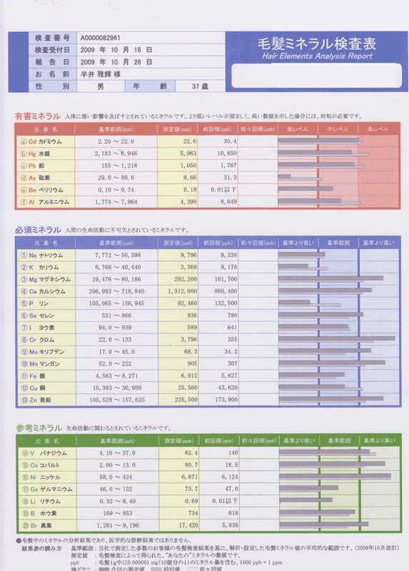 毛髪ミネラル検査表