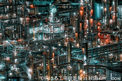 展示作品5