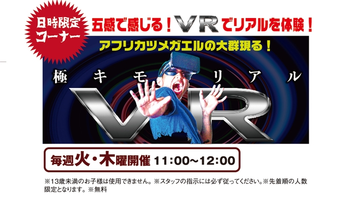 VR