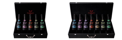 ANGEL CHAMPAGNE NV Brut HALO Chant de la lumiere(2)