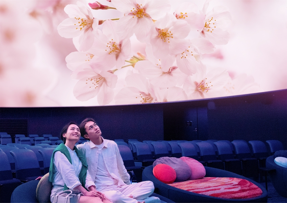 プラネタリアYOKOHAMA 桜タイトル無し