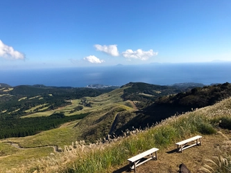 【東伊豆 北川温泉・吉祥CAREN】東伊豆ジオパーク細野高原の「海すすき」を絶景散歩～相模湾を見晴らす、幻想的な大自然とインフィニティ温泉への秋旅～