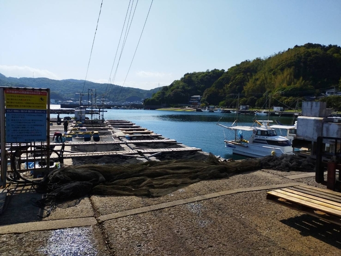 富士見水産から見える佐賀関地区の景色