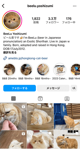 ビール君　Instagram