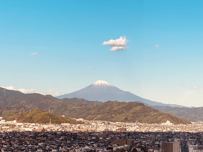 静岡県庁からの眺め