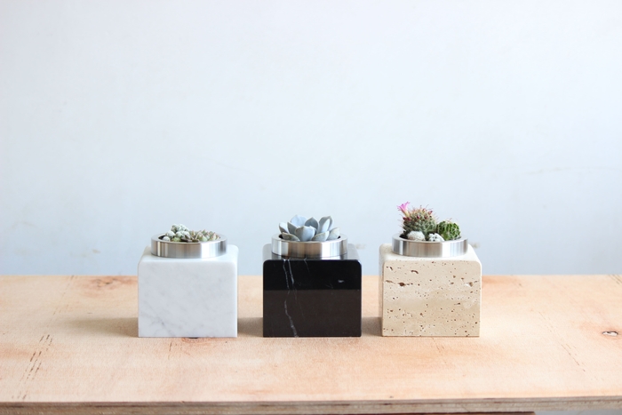 サボテンハウス(R)マーブル3種類の写真