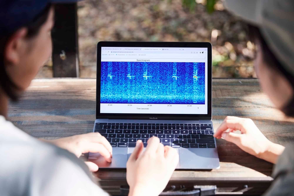 コウモリの鳴き声(超音波)を数値化して観測