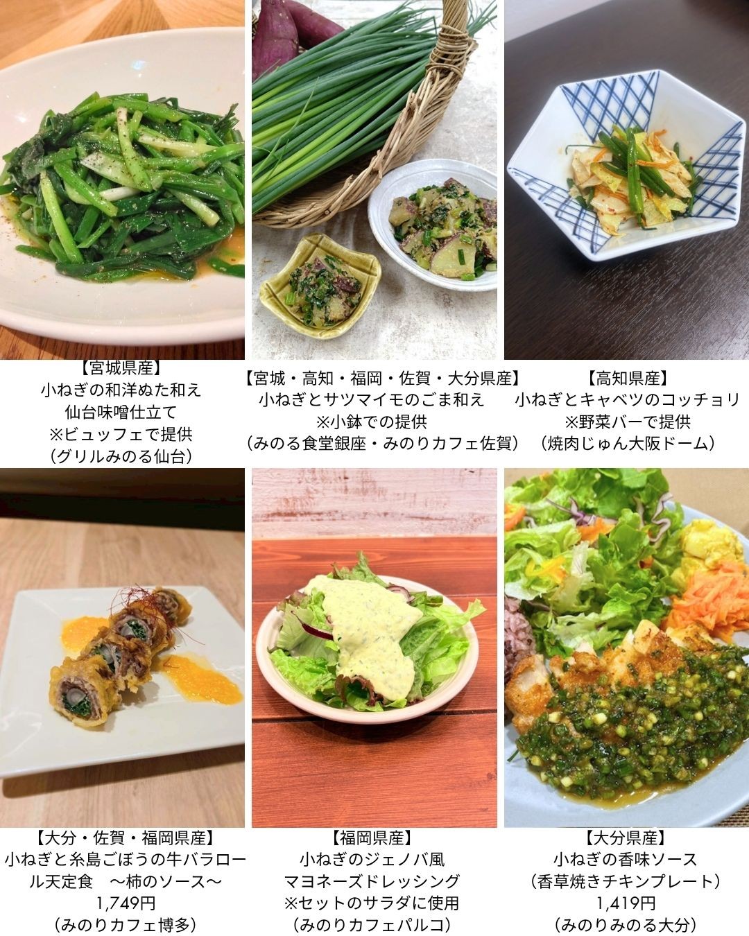 ～１１月２３日「小ねぎ記念日」に向けて“ねぎ”らいの感謝を！～ 全農直営飲食店舗で「小ねぎフェア」を １０月２７日（月）～１１月６日（木）に開催