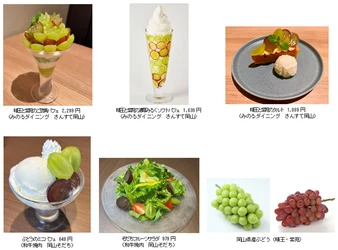 ～全国有数のぶどう産地・岡山が誇る旬のぶどうを味わう～
岡山県内の全農直営飲食店舗で「岡山県産ぶどうフェア」を
１０月２７日（火）～１１月１０日（火）に開催