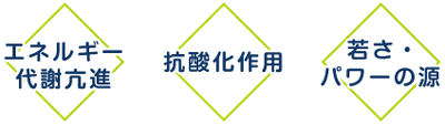 ユビキノール・還元型コエンザイムQ10 200㎎