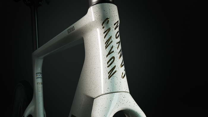 MyCanyon「ゴールドダスト」は金粉を散らしたかのような華やかなアートワーク