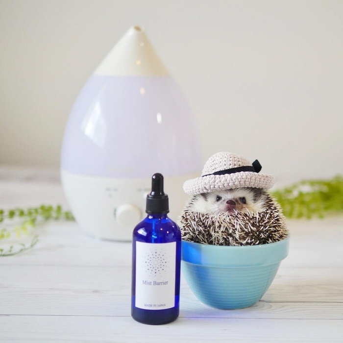 ayabribrick様(@ayabribrick)