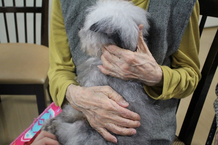 安心して犬と暮らし続けたい