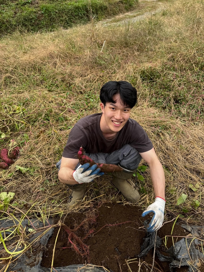活動中に食べる野菜の収穫