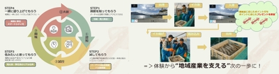 左：4STEPの好循環サイクル、右：バーチャル空間でイカ漁体験ゲーム