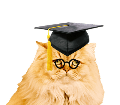 猫博士