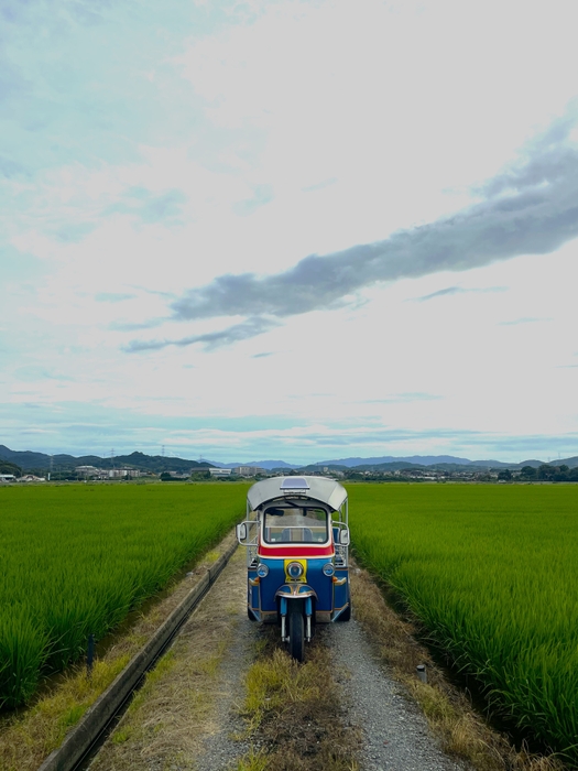 田舎の田園風景