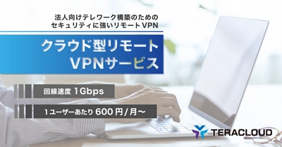 【法人向けVPNサービス】安全なテレワーク?を実現するなら「クラウド型リモートVPNサービス」