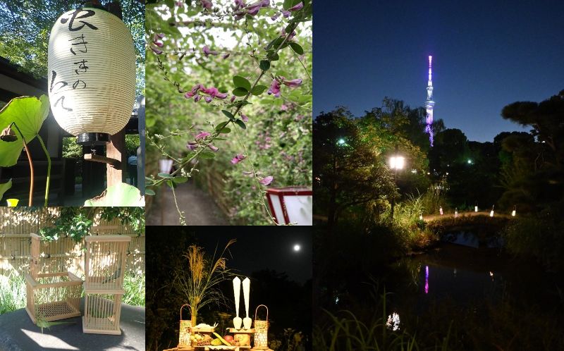 【向島百花園】伝統行事「虫ききの会」「月見の会」「萩まつり」を開催します（８/28～10/７）
