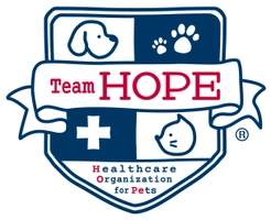 一般社団法人 Team HOPE