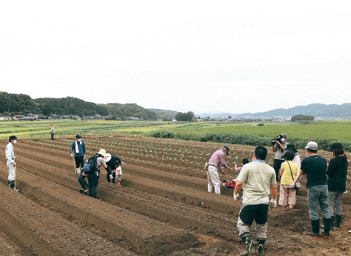 農業体験会