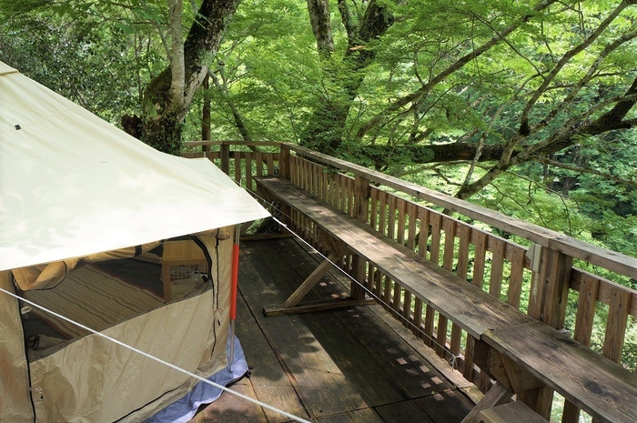 瀬戸川ツリーテラス_画像3