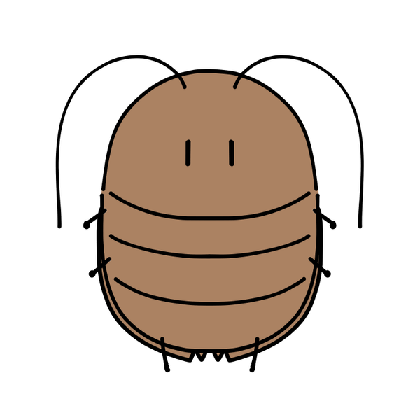 ゆるふわゴキブリ３