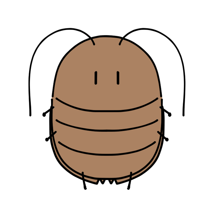 ゆるふわゴキブリ3